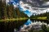 Conifer forest in colorado