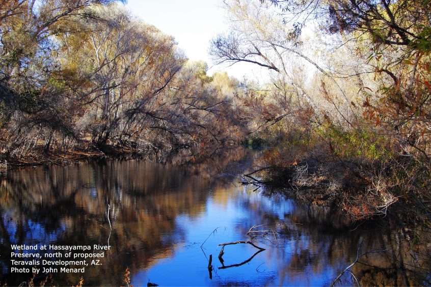 Hassayampa River Preserve, AZ Photo by John Menard