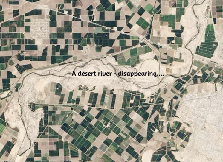 Romancing the River: The Desert River