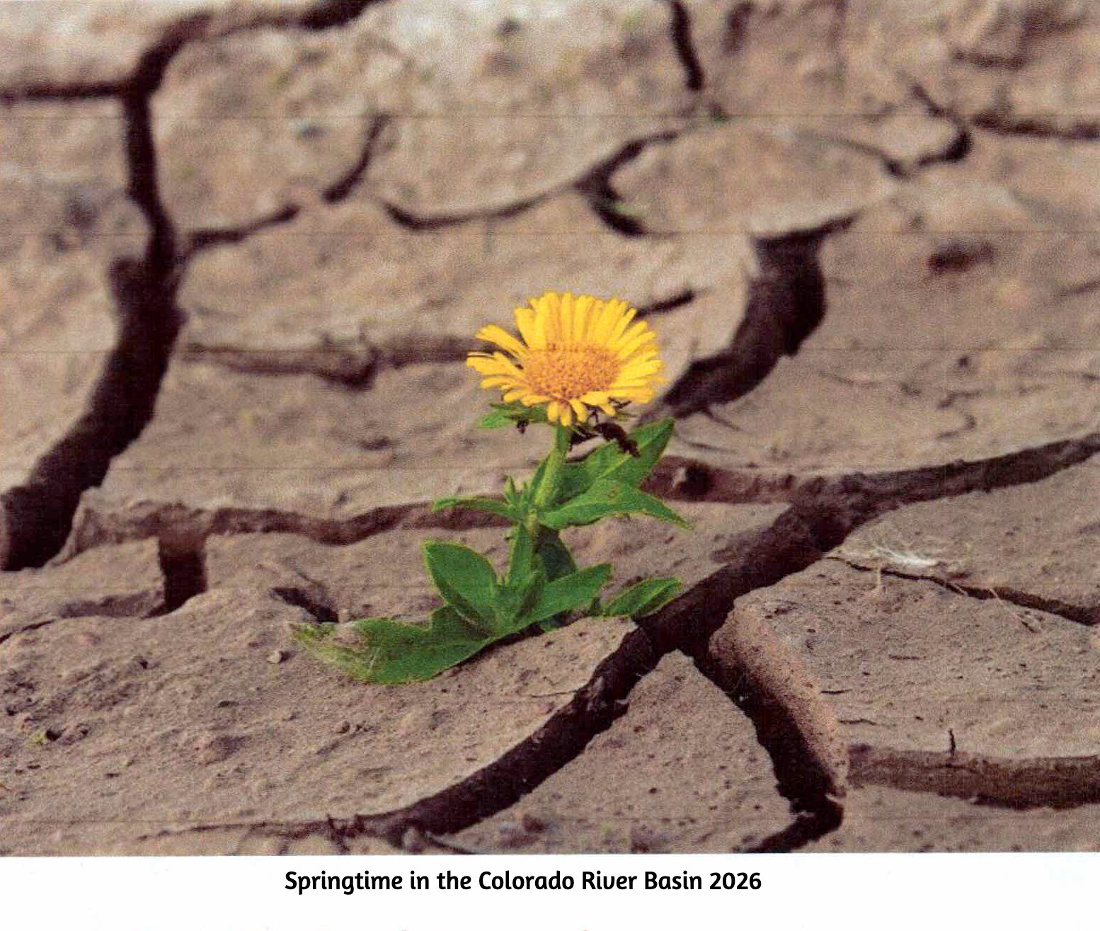 Featured image for “Romancing the River: The Era of Conquest 3”